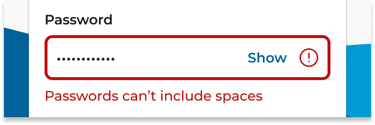 Password field showing the space-related error state